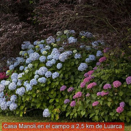 Casa Manoli Luarca Affittacamere Almuña Esterno foto